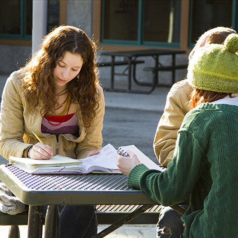 Study the words and ideas that shape thought and culture.